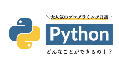 21年最新 プログラミング言語の人気ランキングtop10 Webpia